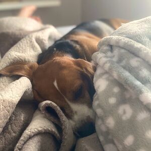 Lazy Sunday Sale!!! EVERYTHING is 15% OBO!